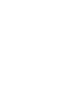Iceicon