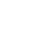 Plugicon