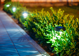 Landscape Lighting