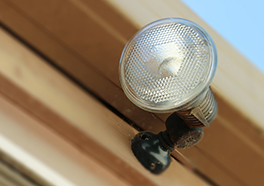 Security Lighting